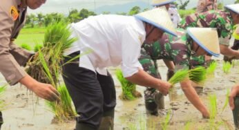 Masuki Musim Tanam I, Petani Rembang Diimbau Waspada Cuaca Ekstrem
