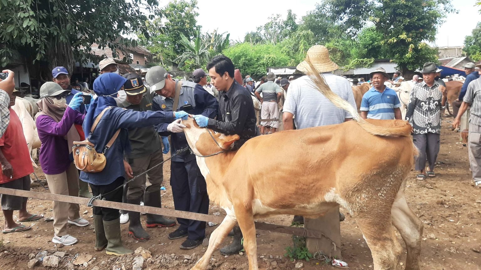 20250107 085155 11zon 1536x864 1 - PMK di Rembang