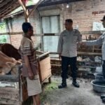 Cegah Penyebaran PMK, Polisi Cek Kondisi Peternakan di Pancur / polres rembang