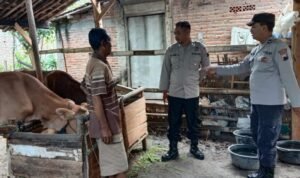 Cegah Penyebaran PMK, Polisi Cek Kondisi Peternakan di Pancur / polres rembang