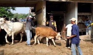 WhatsApp Image 2022 08 08 at 14.28.00 1 1170x500 1 - Rembang