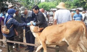 WhatsApp Image 2025 01 20 at 14.20.49 1170x500 1 - Rembang