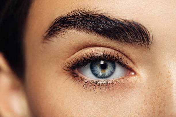 istockphoto 866612478 612x612 1 -