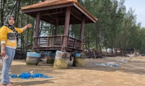 Ancaman Nyata Abrasi di Pesisir Pantai Rembang/rembangkab