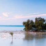 Ilustrasi abrasi pantai /istock