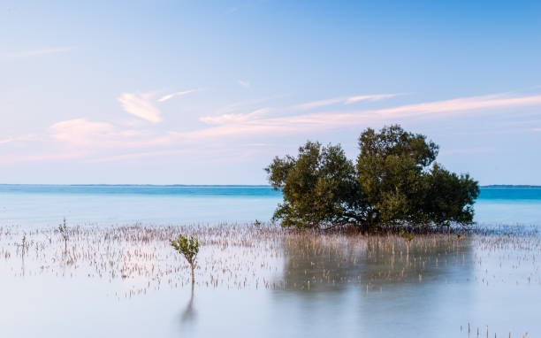 Ilustrasi abrasi pantai /istock