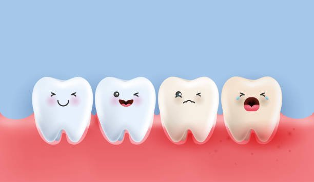istockphoto 2162490193 612x612 1 -