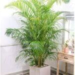 ruangan