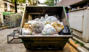 istockphoto 1127751158 612x612 1 - Rembang