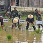 Masuk Musim Tanam III, Target Luas Tanam Padi 45 Ribu Hektare Terus Didorong/rembangkab