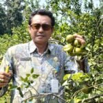 IMG 20250613 WA0017 1536x866 1 - Agrowisata Petik Jeruk
