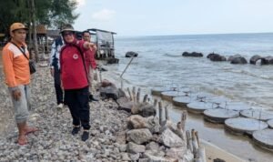 Tangani Abrasi, BBWS Pemali Juana Bangun Pemecah Ombak di Pantai Caruban/rembangkab