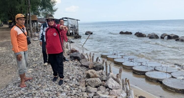 Tangani Abrasi, BBWS Pemali Juana Bangun Pemecah Ombak di Pantai Caruban/rembangkab