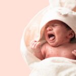 istockphoto 1215863607 612x612 1 -