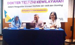 Rapat Koordinasi Dokter Telponi Kewilayahan / rembangkab