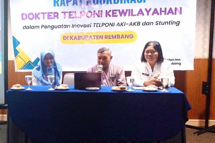 Rapat Koordinasi Dokter Telponi Kewilayahan / rembangkab