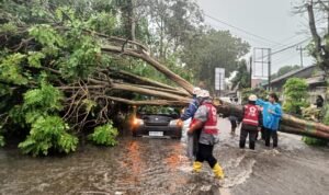 Hujan Deras Disertai Angin Kencang Landa Magelang, 17 Rumah Rusak dan Warga Luka-luka/magelangkab Hujan Deras Disertai Angin Kencang Landa Magelang, 17 Rumah Rusak dan Warga Luka-luka/magelangkab