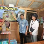 Internet Gratis Jateng Jangkau Wilayah Blankspot/jatengprov