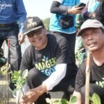 Sebanyak 36.200 Bibit Mangrove Ditanam di Pantai Pasar Banggi Rembang/rembangkab