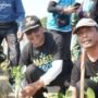 Sebanyak 36.200 Bibit Mangrove Ditanam di Pantai Pasar Banggi Rembang/rembangkab