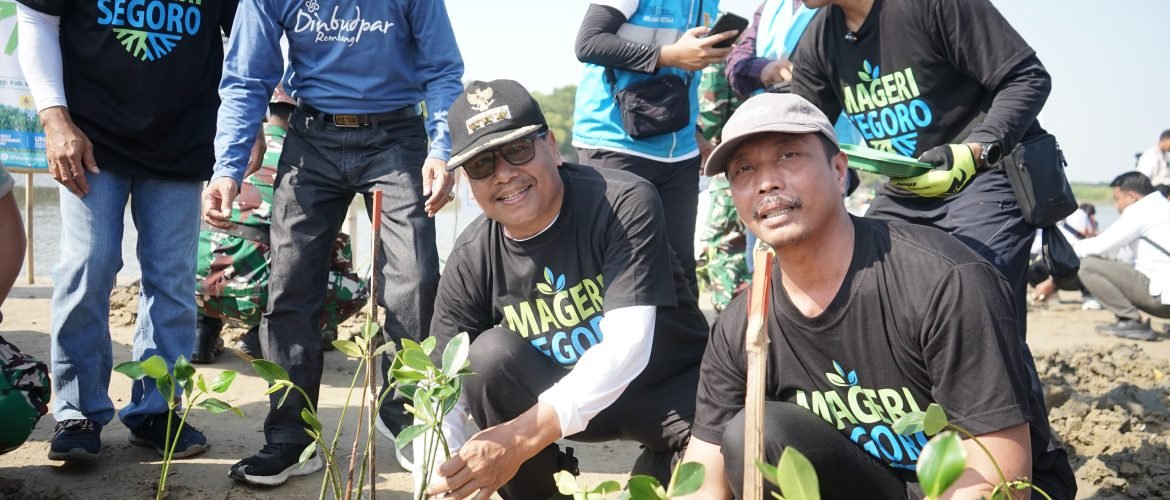 Sebanyak 36.200 Bibit Mangrove Ditanam di Pantai Pasar Banggi Rembang/rembangkab