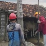 Tegangan Listrik di Desa Sendangagung Rendah, PT PLN Pasang 6 Tiang Listrik Baru/rembangkab