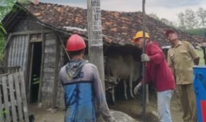 Tegangan Listrik di Desa Sendangagung Rendah, PT PLN Pasang 6 Tiang Listrik Baru/rembangkab Tegangan Listrik di Desa Sendangagung Rendah, PT PLN Pasang 6 Tiang Listrik Baru/rembangkab