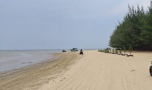 Abrasi Pantai Karangjahe Rembang, Pemkab Rembang Bakal Usulkan Pemecah Ombak/rembangkab
