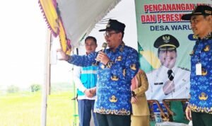 P 20251117 091259 1 1 1170x500 1 -