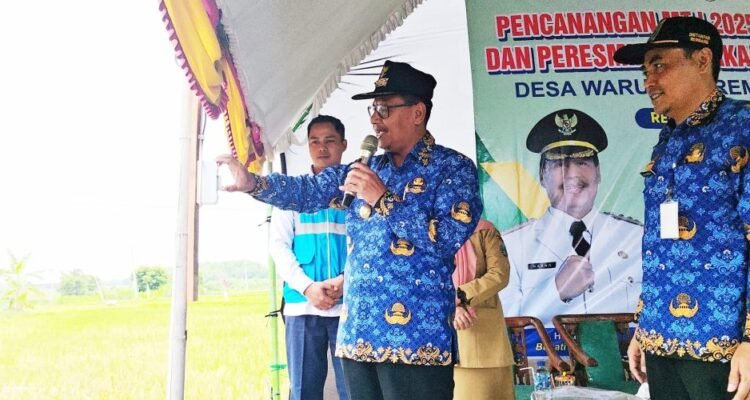 P_20251117_091259_1_1-1170x500 P 20251117 091259 1 1 1170x500 1 -