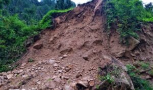 istockphoto 1165330614 612x612 1 -