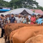 Pemkab Rembang Resmikan Pasar Hewan Pamotan /rembangkab