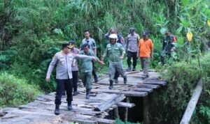 WhatsApp Image 2025 12 02 at 13.11.49 -