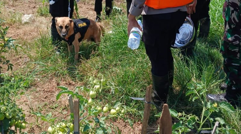 WhatsApp Image 2025 12 27 at 10.15.47 800x445 1 - orang hilang