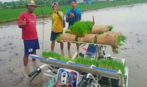 Brigade Pangan Dikerahkan untuk Bantu Petani Rembang Optimalkan Lahan /rembangkab