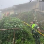 WhatsApp Image 2026 01 26 at 22.21.19 -