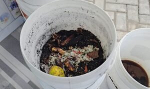 Warga Banyuurip Rembang Dapat Pendampingan Pengolahan Sampah Organik Jadi Komposter/rembangkab