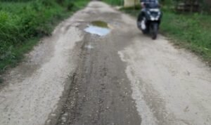 Jalan Purworejo-Banggi Rembang Rusak Parah, Pemkab Prioritaskan Perbaikan/rembangkab