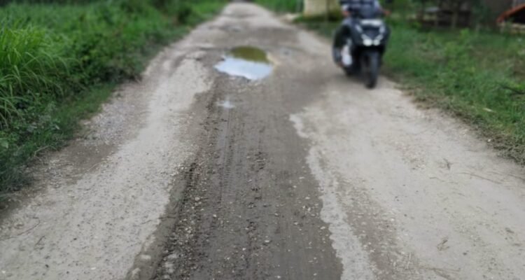 Jalan Purworejo-Banggi Rembang Rusak Parah, Pemkab Prioritaskan Perbaikan/rembangkab