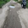 Jalan Purworejo-Banggi Rembang Rusak Parah, Pemkab Prioritaskan Perbaikan/rembangkab