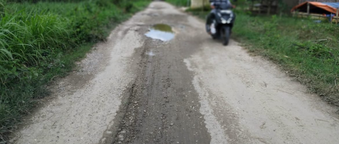 Jalan Purworejo-Banggi Rembang Rusak Parah, Pemkab Prioritaskan Perbaikan/rembangkab