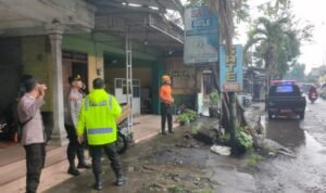 Hujan Deras dan Angin Kencang Sebabkan Pohon Tumbang di Tulungagung/polres tulungagung