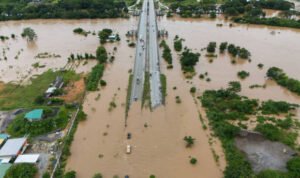 Ilustrasi bencana/istock