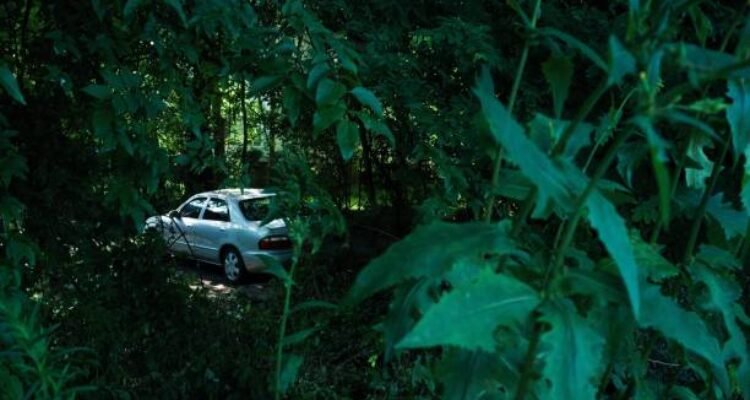 Ilustrasi mobil parkir di hutan/istock
