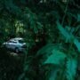 Ilustrasi mobil parkir di hutan/istock