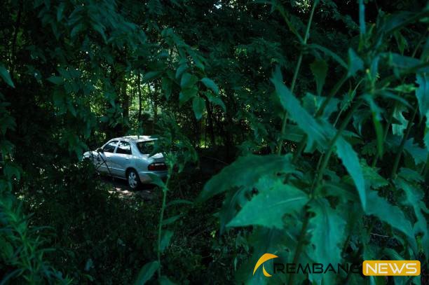 Ilustrasi mobil parkir di hutan/istock Ilustrasi mobil parkir di hutan/istock