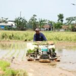 El Nino Godzilla Ancam Indonesia, Petani Rembang Optimis Tetap Bisa Tanam/jatengprov