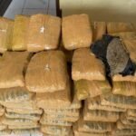 Polisi Sita 112 Paket Ganja Kering di Tapanuli Utara, 2 Orang Jadi Tersangka/humas polri