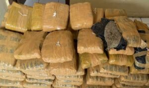 Polisi Sita 112 Paket Ganja Kering di Tapanuli Utara, 2 Orang Jadi Tersangka/humas polri