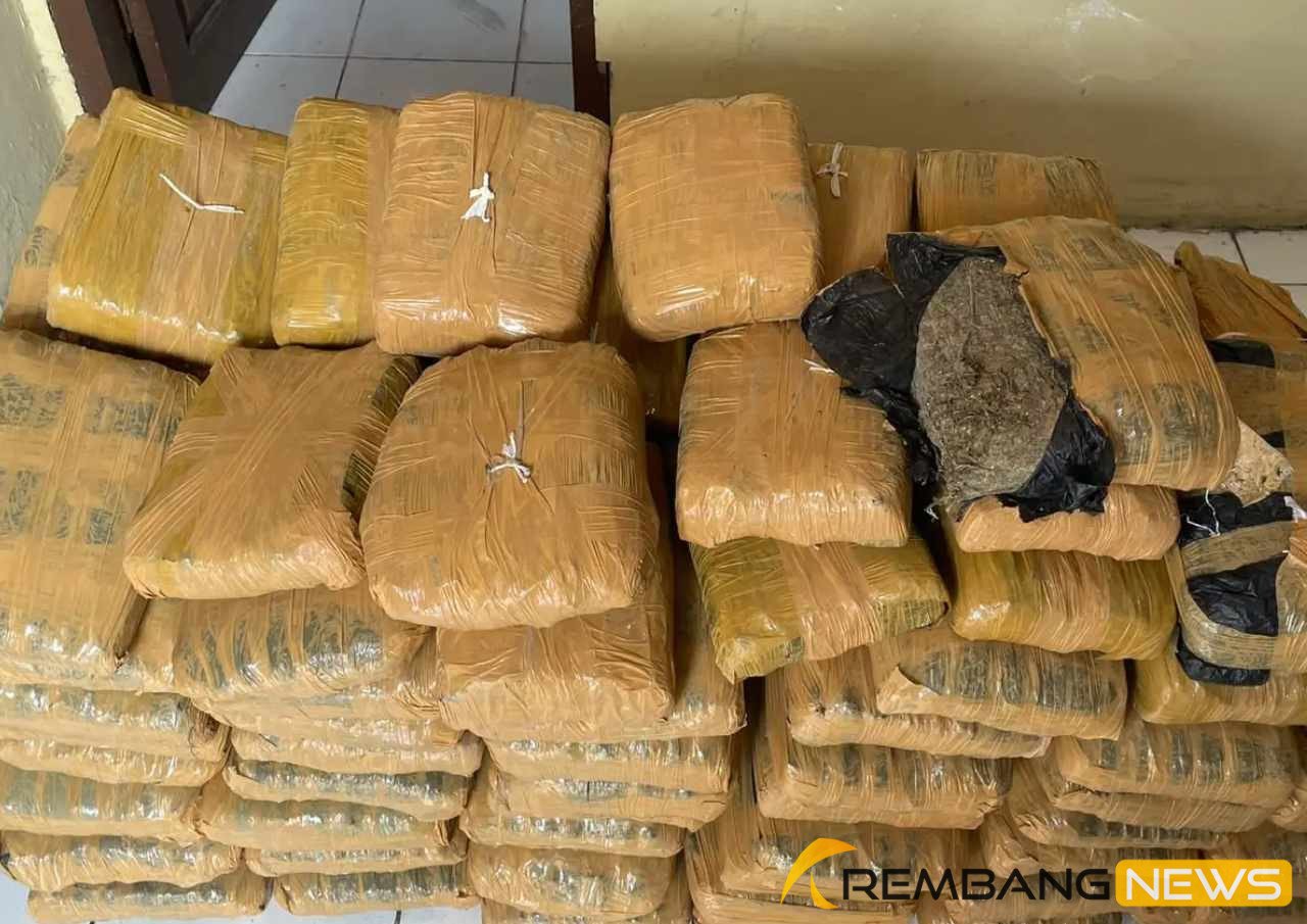 Polisi Sita 112 Paket Ganja Kering di Tapanuli Utara, 2 Orang Jadi Tersangka/humas polri
